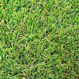 Ковролин Трава 2.0 м 20мм Grass Dream
