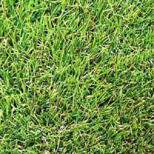 Ковролин Травка 3,0 м Grass Mixed 35мм