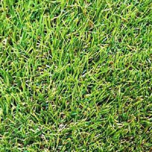 Ковролин Трава 3,0 м 35мм Grass Mixed УМ