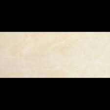 Плитка облиц Palladio beige wall 01 250х600