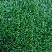 Ковролин Трава 2,0 м 35мм Grass Mixed УМ