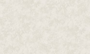 Обои WallSecret 8650-13 (1,06х10)