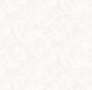 Обои Victoria Stenova 285185 (1,06х10)