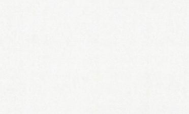 Обои Палитра 72079-11 (1,06х10) У М