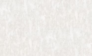 Обои Палитра 72083-24 (1,06х10) У