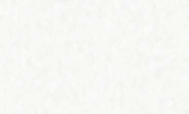 Обои Палитра 72094-14 (1,06х10) У