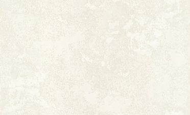 Обои Аспект 70520-12 (1,06х10)