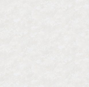 Обои Victoria Stenova 285621 (1,06х10)