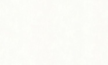 Обои Аспект 70538-11 (1,06х10)