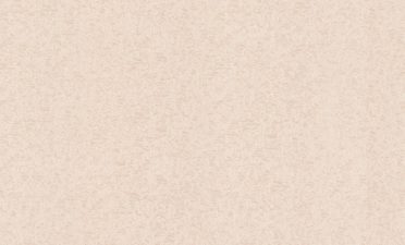 Обои Аспект 70541-15 (1,06х10) У М