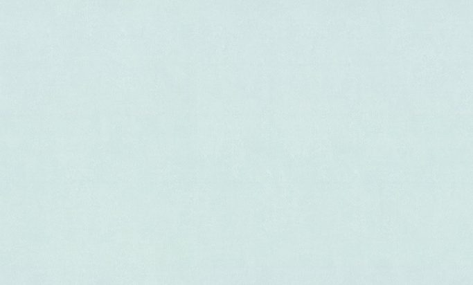 Обои Home Color 72286-16 (1,06х10)