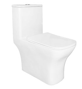 Унитаз монолит Azario Lodi AZ-8617В с функцией биде