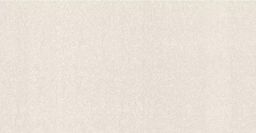 Обои Аспект 70617-18 (1,06х10)