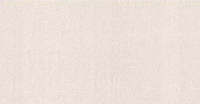 Обои Аспект 70617-18 (1,06х10)