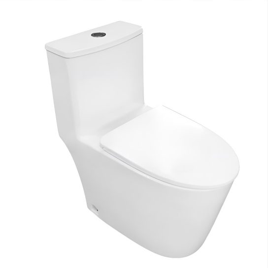 Унитаз Azario Ansa AZ-2301 моноблок