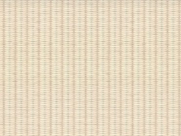 Обои Trend Color 72456-22 (1,06х10)