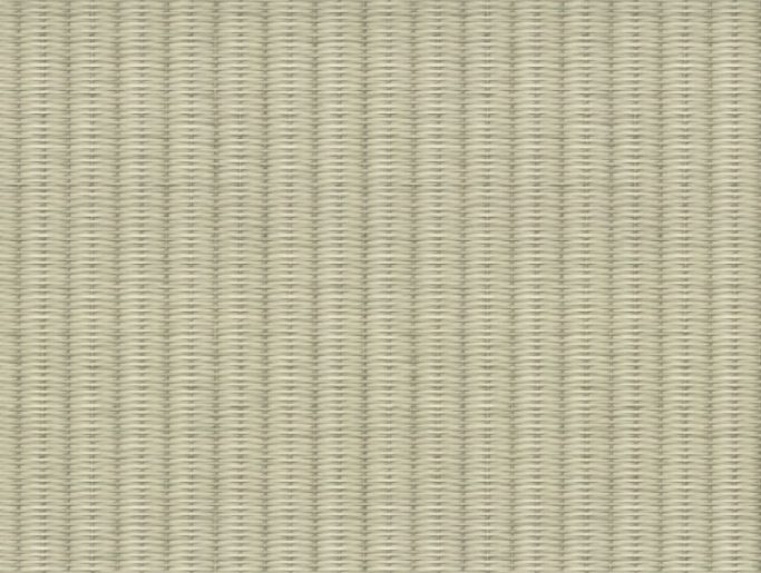 Обои Trend Color 72456-27 (1,06х10)