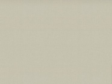 Обои Trend Color 72460-27 (1,06х10)