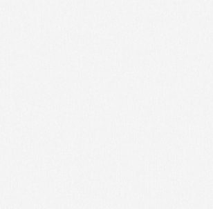 Обои WallSecret 9090-11 (1,06х10)