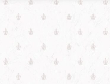 Обои Палитра 72175-11 (1,06х10)