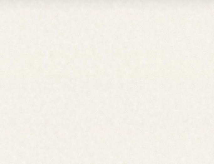 Обои Палитра 72124-24 (1,06х10)