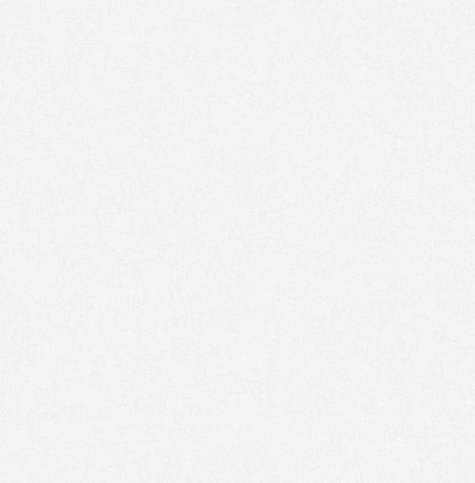 Обои Victoria Stenova 588840 (1,06х10)