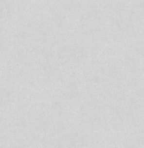 Обои Victoria Stenova 588843 (1,06х10)