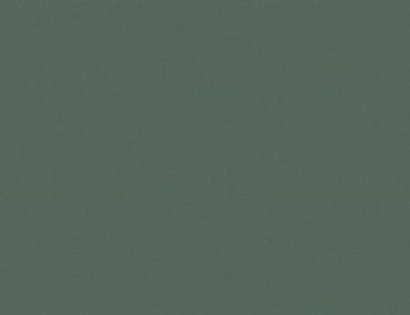 Обои Trend Color 72377-77 (1,06х10)