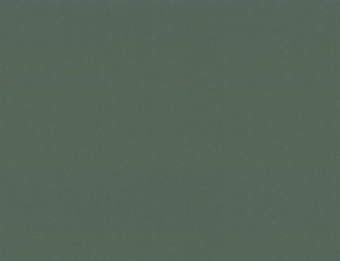 Обои Trend Color 72377-77 (1,06х10)