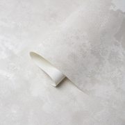 Обои Victoria Stenova 589501 (1,06х10)