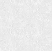 Обои Victoria Stenova 585410 (1,06х10)