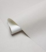 Обои AVISTO 585386 (1,06х10)