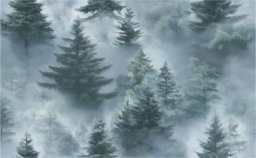 Обои Home Color 72551-67 (1,06х10)