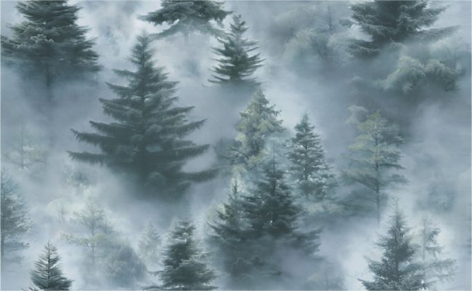 Обои Home Color 72551-67 (1,06х10)