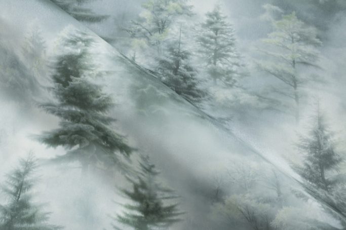 Обои Home Color 72551-71 (1,06х10)