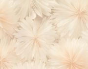 Обои ORNAMY 8090-01