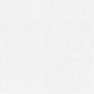 Обои Victoria Stenova 587698 (1,06х10)