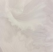 Обои Home Color 72438-27 (1,06х10) Н/З