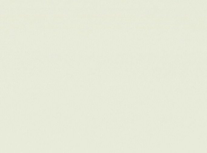 Обои Home Color 72725-14 (1,06х10)